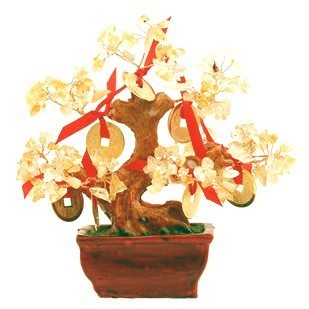 Citrine Tree with 9 Gold Coins for Super Wealth ( Special Offer )