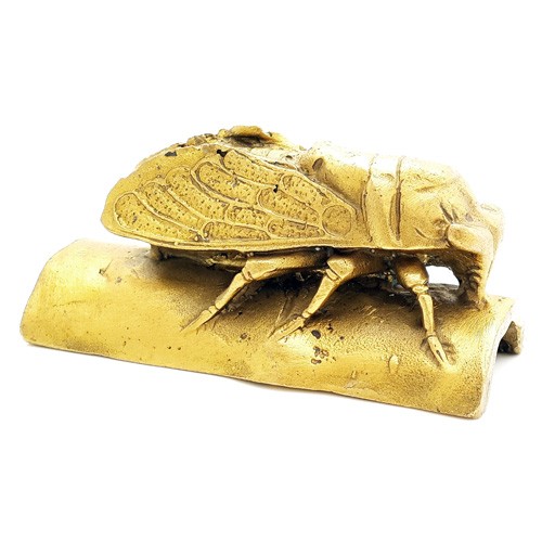 Cicada for Protection and Immortality ( Special Offer )