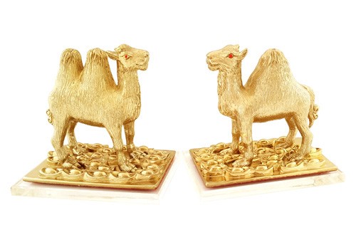 A Pair of Golden Camels to Safeguard Cash Flow