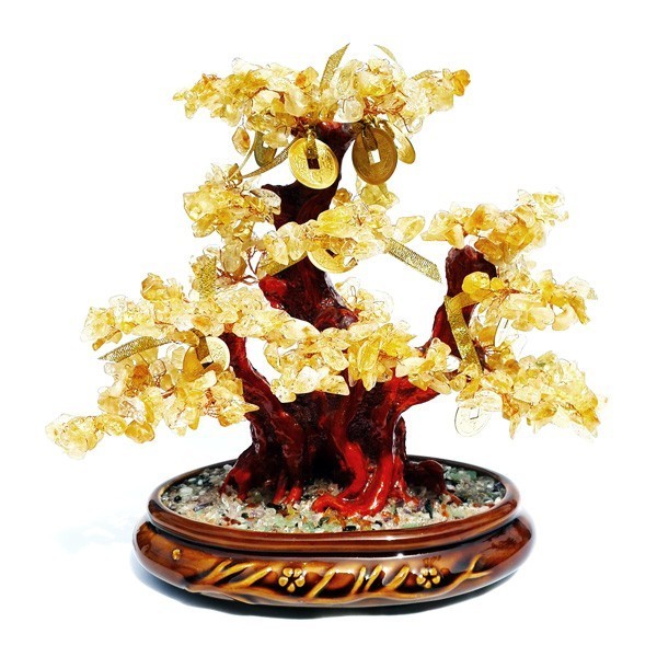 Feng Shui Bonsai Citrine Crystal Gemstone Tree with 8 GOLD Coins