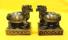 Pair of Mini Dragon Tortoise