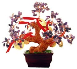 Amethyst Tree with 8 Gold Coins for Relaxing (Special Offer )