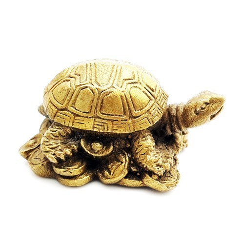 Bronze Tortoise